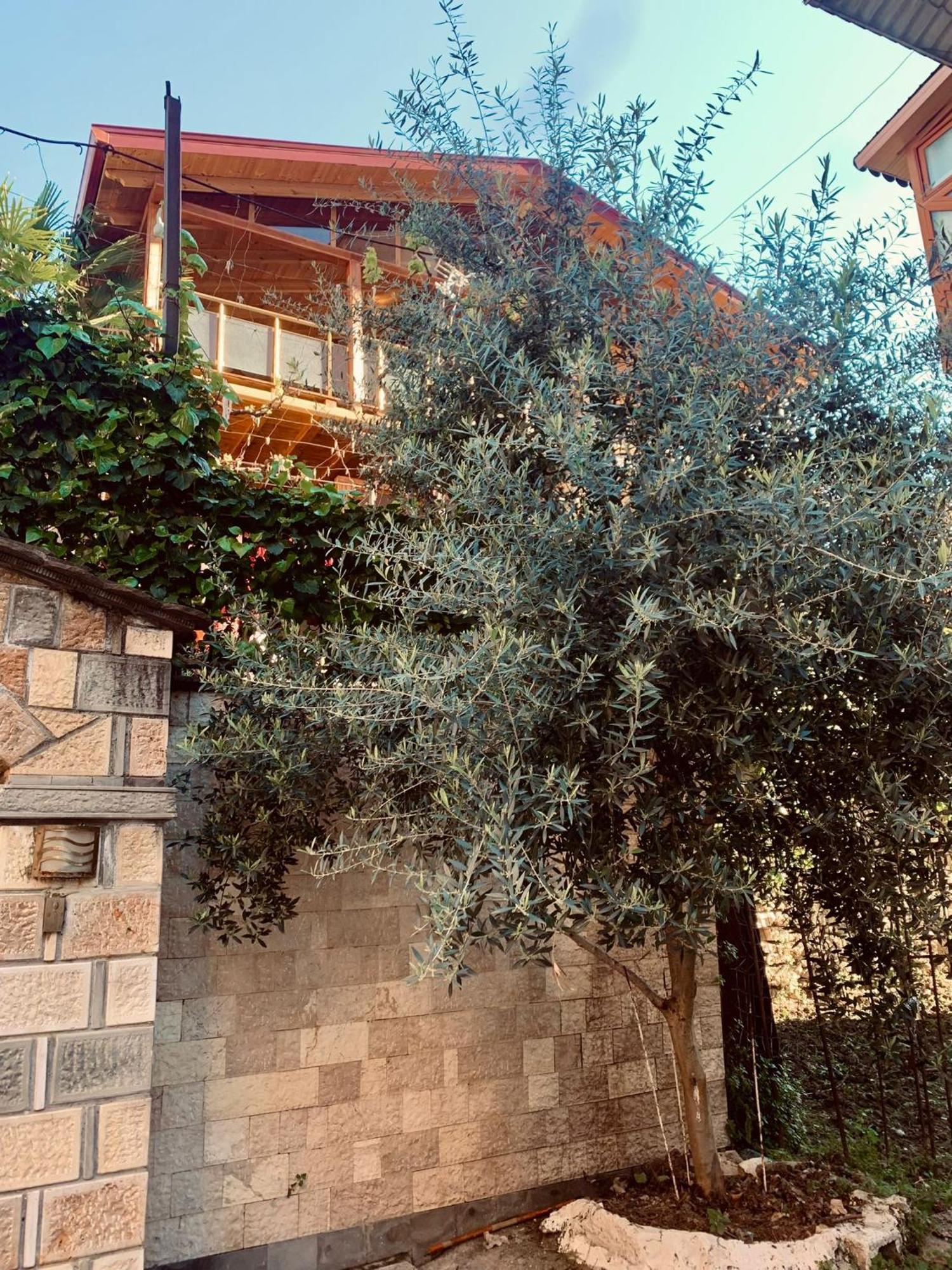 Alimeti Guesthouse ベラト エクステリア 写真