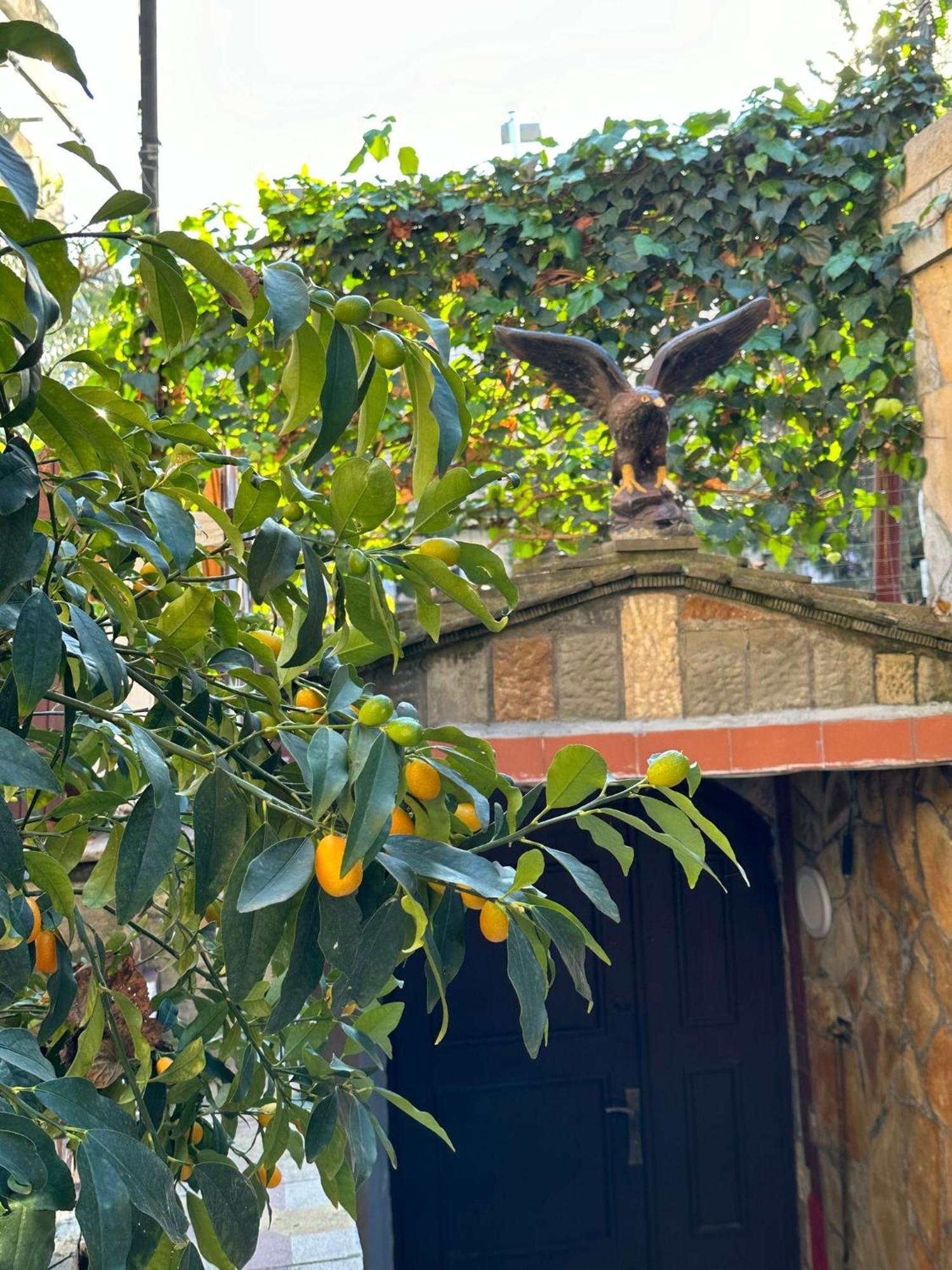 Alimeti Guesthouse ベラト エクステリア 写真