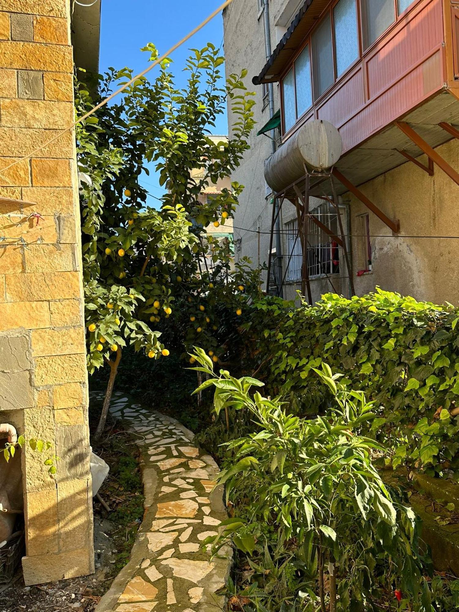 Alimeti Guesthouse ベラト エクステリア 写真